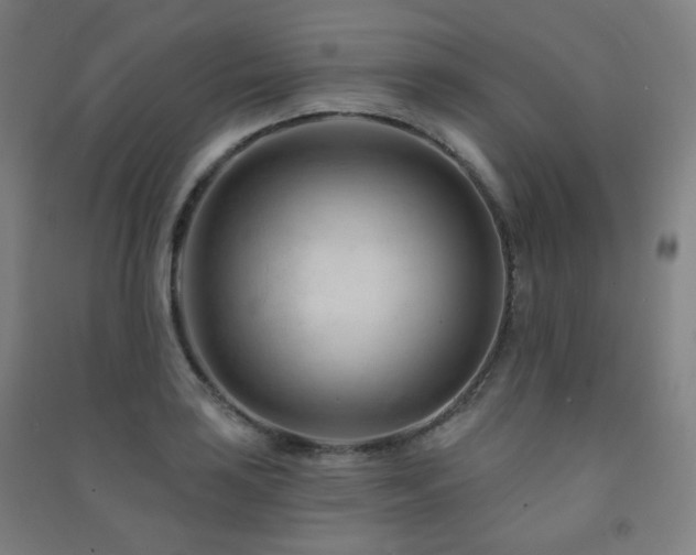 X0000091471035200708161355
