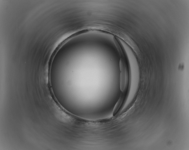 X0000091471036200708161355