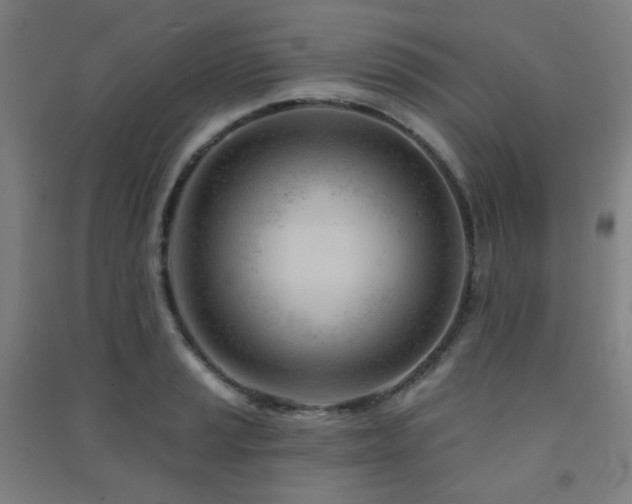 X0000091471037200708161355