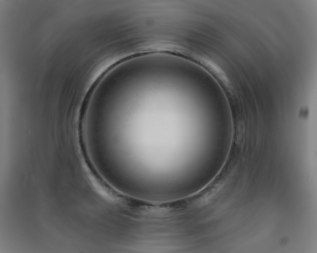 X0000091471039200708161355