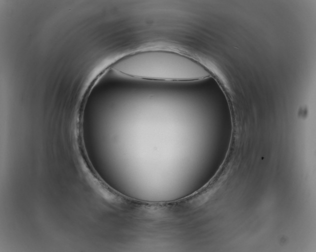 X0000091471040200708161355