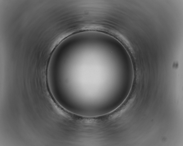 X0000091471041200708161355