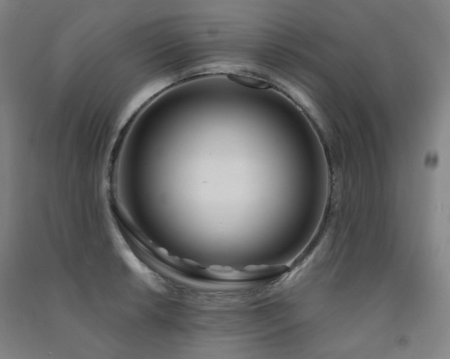 X0000091471042200708161355