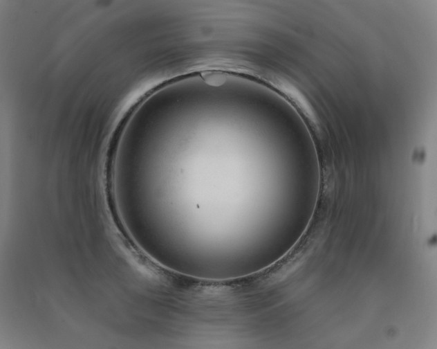 X0000091471043200708161355