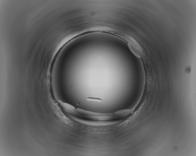 X0000091471044200708161355