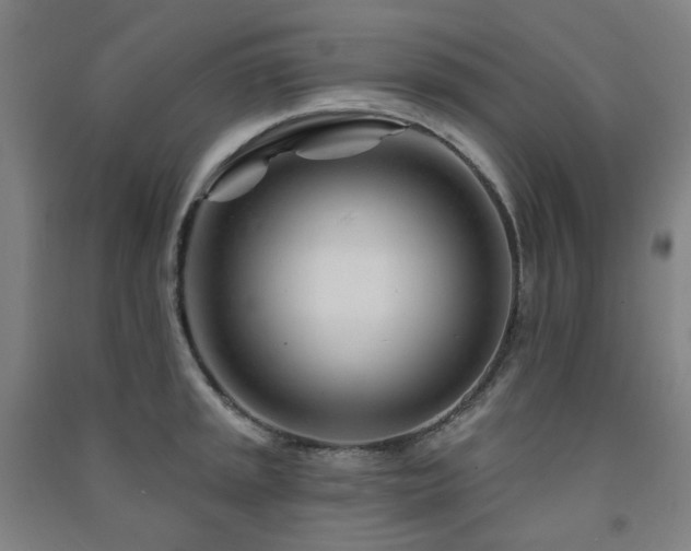 X0000091471045200708161355