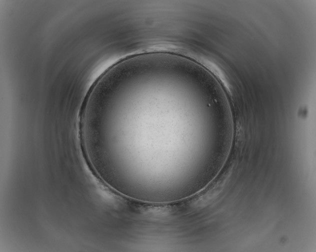 X0000091471047200708161355