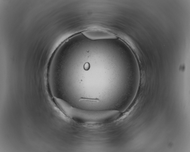 X0000091471048200708161355