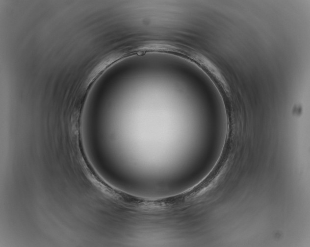X0000091471049200708161355