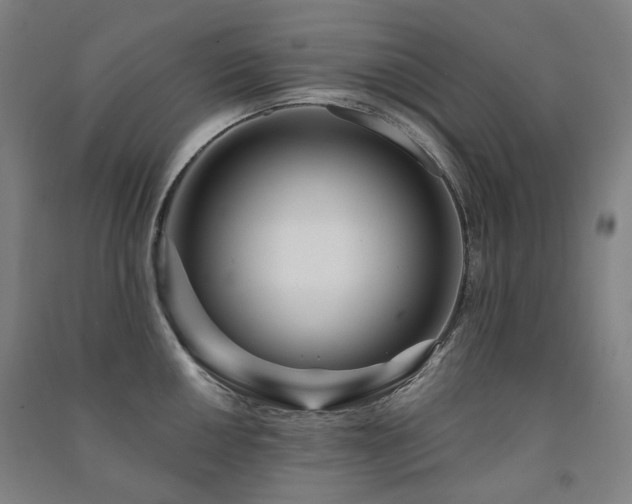 X0000091471050200708161355