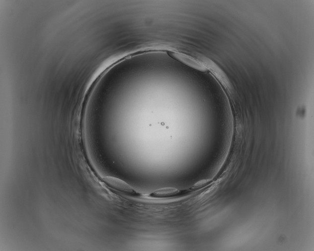 X0000091471052200708161355