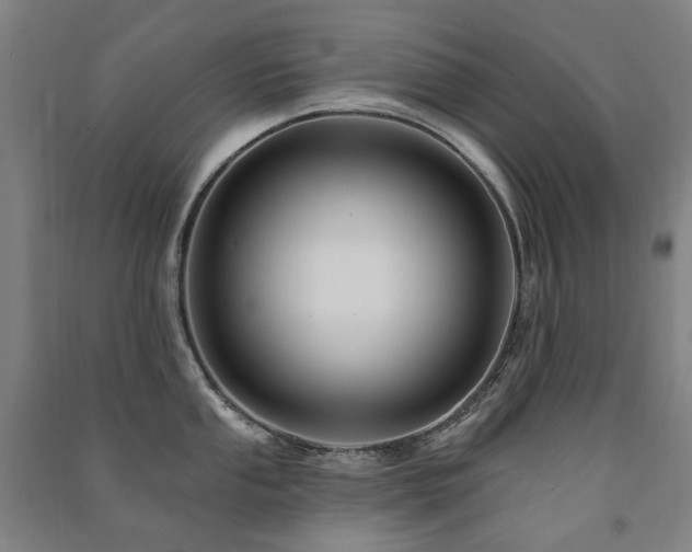 X0000091471053200708161355