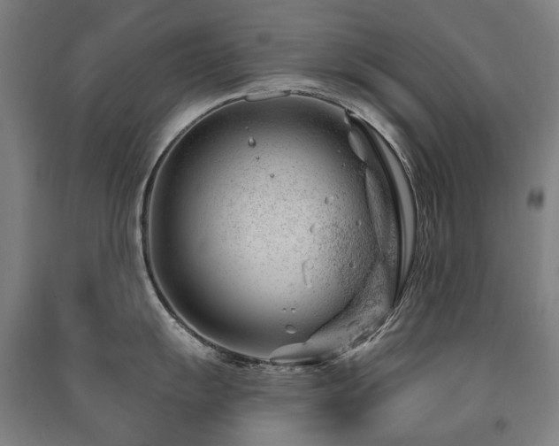 X0000091471055200708161355