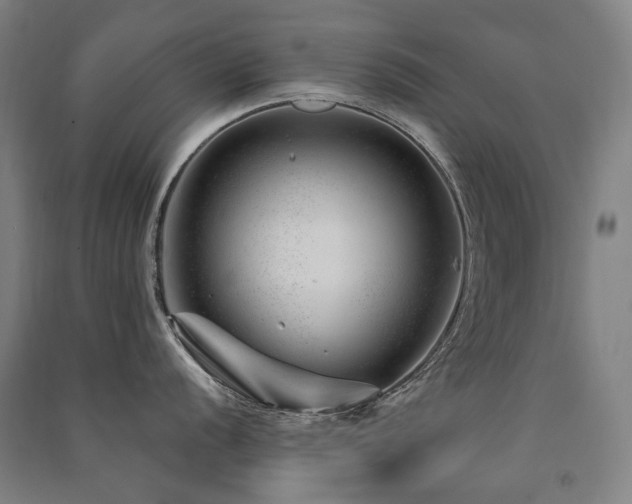X0000091471056200708161355