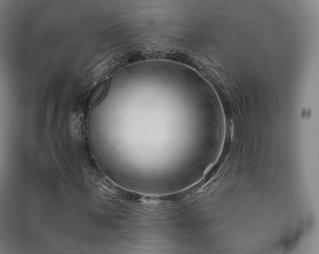 X0000091471059200708161354