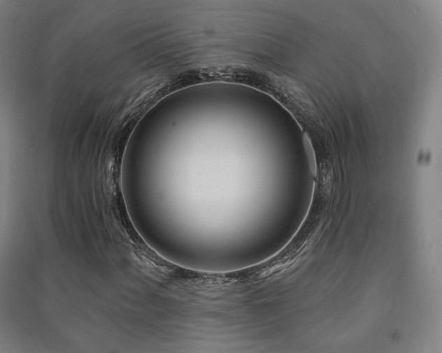 X0000091471060200708161354