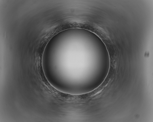 X0000091471061200708161354