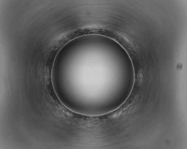 X0000091471062200708161354