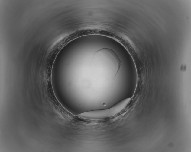 X0000091471064200708161354