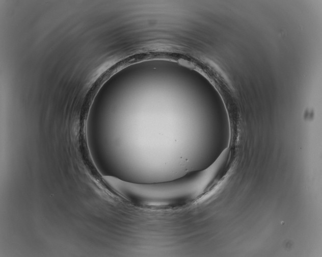 X0000091471065200708161354