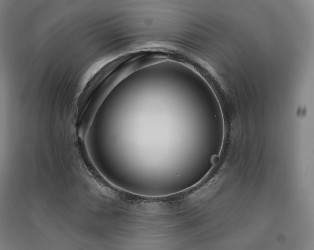 X0000091471066200708161354