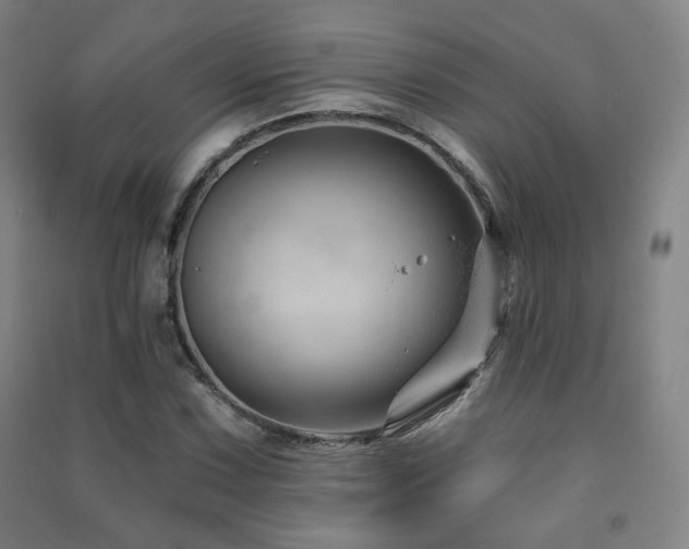 X0000091471067200708161354
