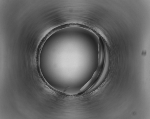 X0000091471068200708161354