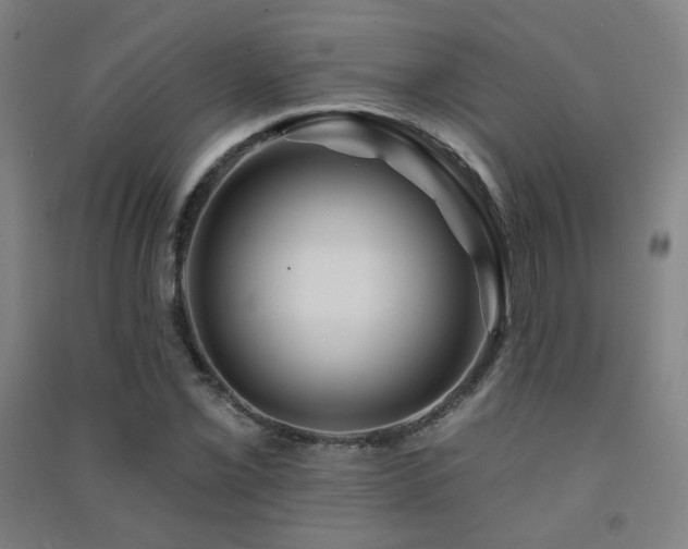 X0000091471069200708161354