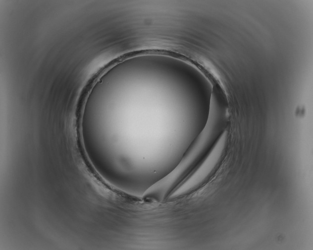 X0000091471072200708161354