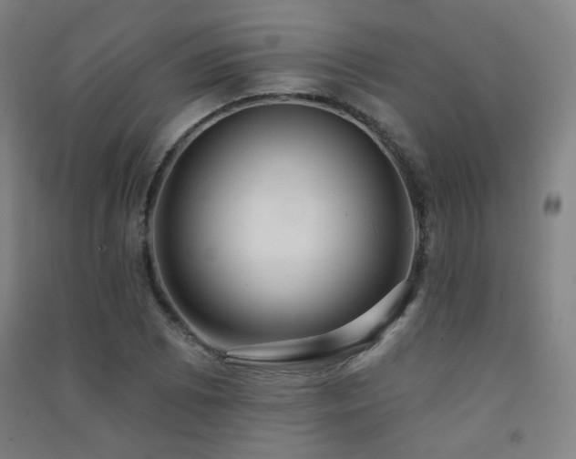 X0000091471073200708161354