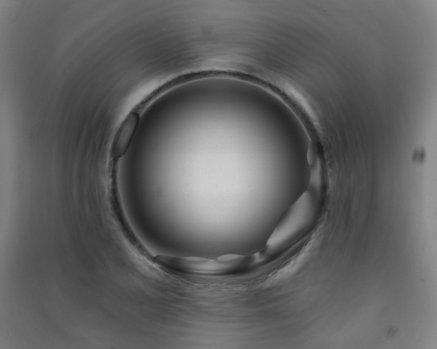 X0000091471077200708161354