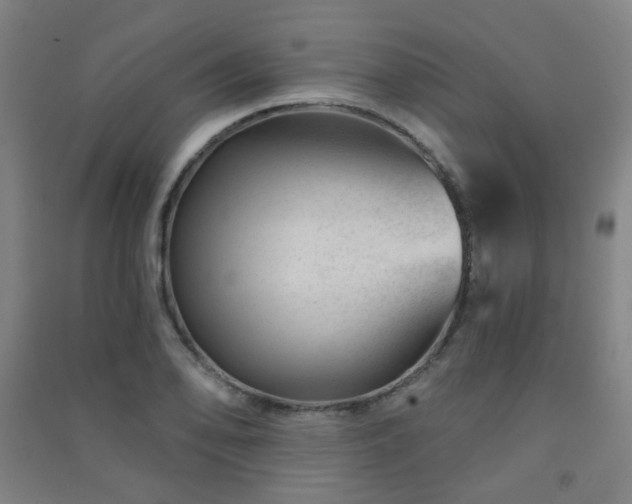 X0000091471078200708161354