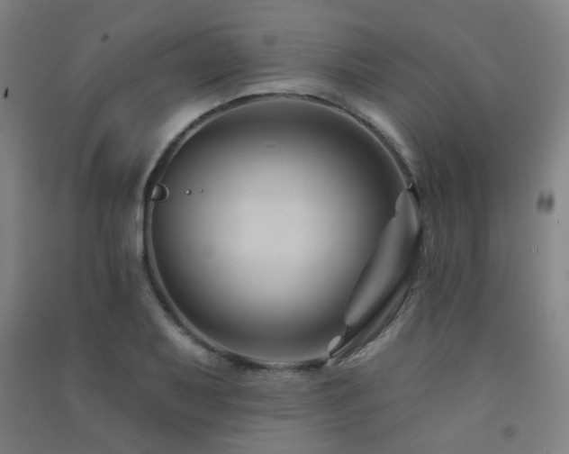 X0000091471079200708161354