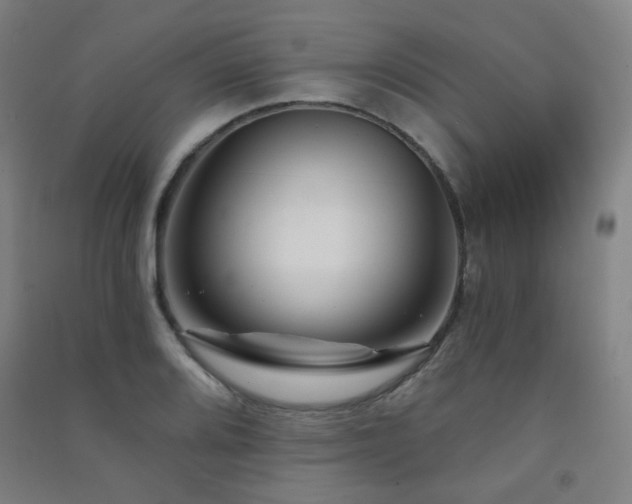 X0000091471080200708161354