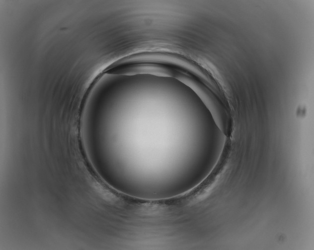 X0000091471081200708161354