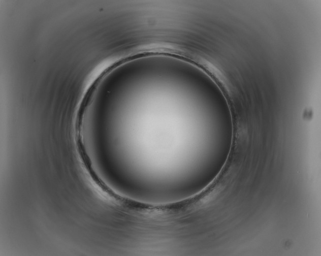 X0000091471082200708161354