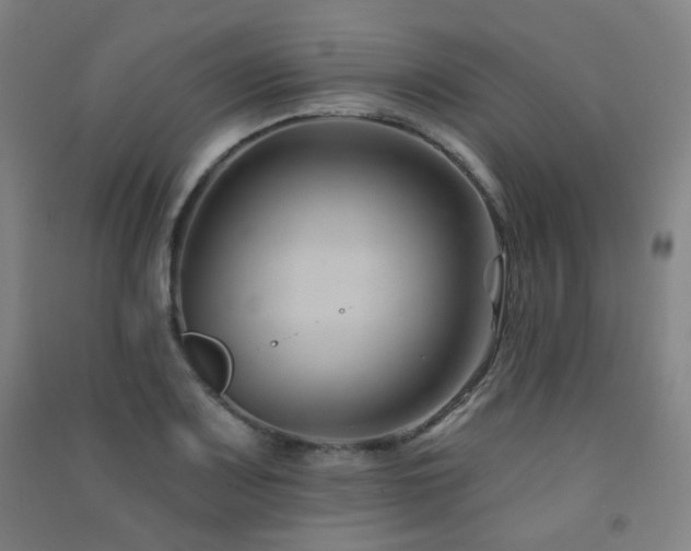 X0000091471083200708161354