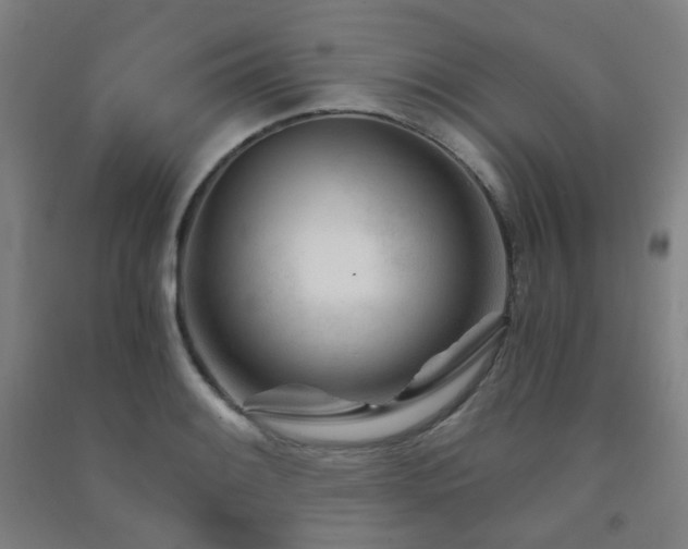 X0000091471084200708161354
