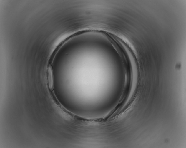 X0000091471085200708161354