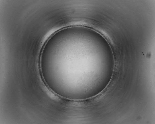 X0000091471086200708161354