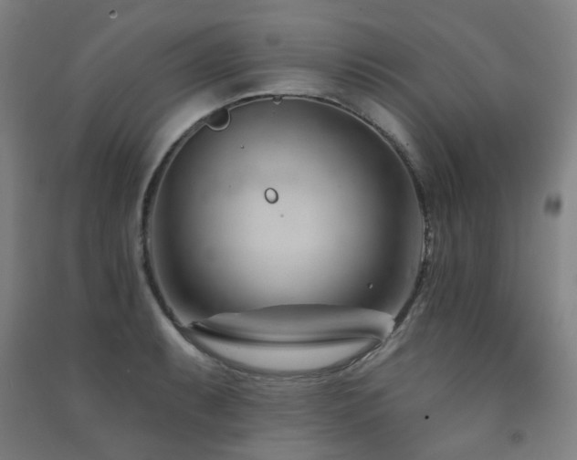 X0000091471087200708161354