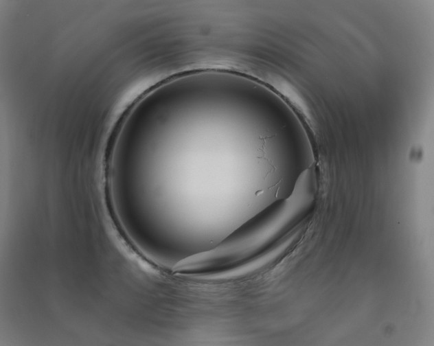 X0000091471088200708161354