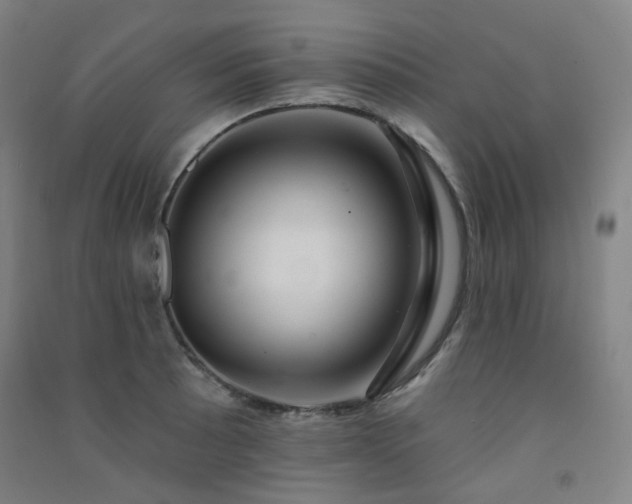 X0000091471089200708161354