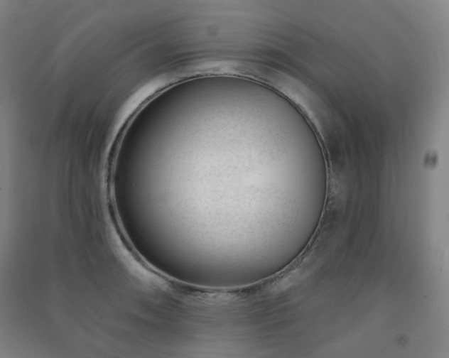 X0000091471090200708161354