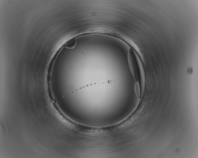 X0000091471091200708161354