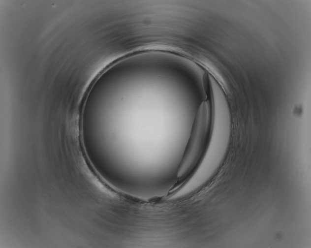 X0000091471092200708161354
