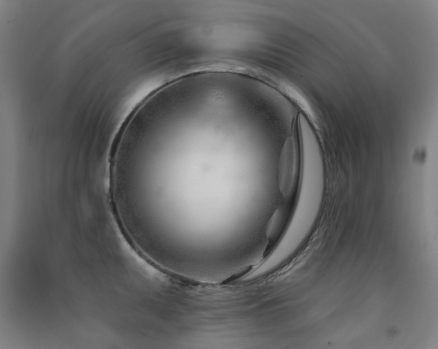 X0000091471095200708161354