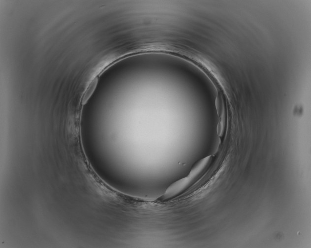 X0000091471097200708161354