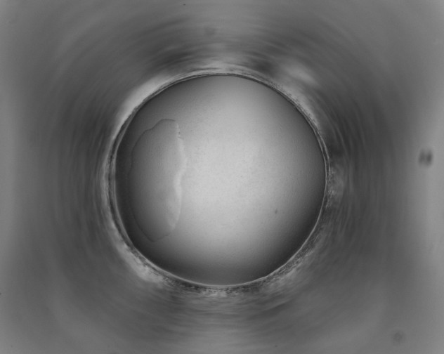 X0000091471098200708161354