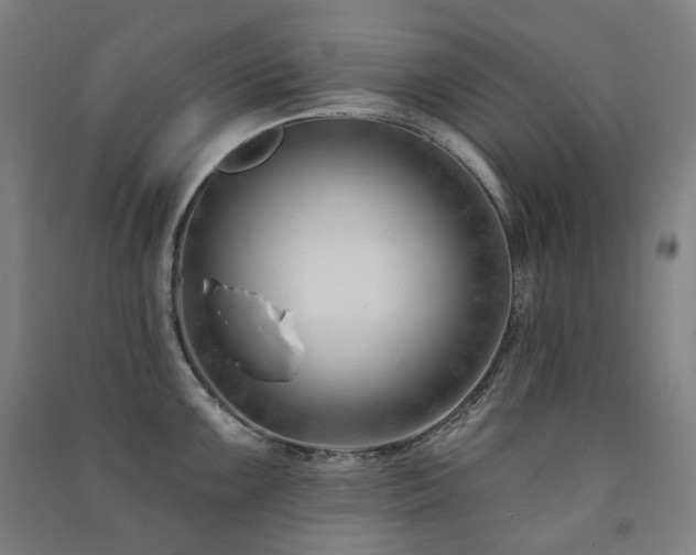 X0000091471099200708161354